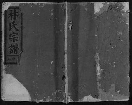 浙江林氏族谱-林氏宗谱 [2卷].pdf电子版缩略图
