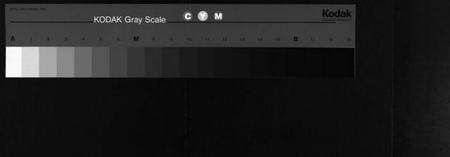 湖北高氏族谱-高氏宗谱[15卷,首3卷](别名：高氏谱牒、Gao Shi Zong Pu).pdf电子版缩略图
