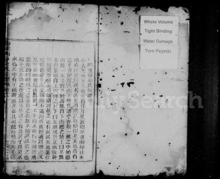 浙江金氏族谱-梅溪西岸金氏宗谱 [残卷].pdf电子版预览图2