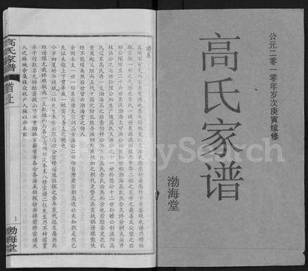 湖北高氏族谱-高氏家谱 [10卷,首2卷](别名：Gao Shi Jia Pu).pdf电子版预览图1
