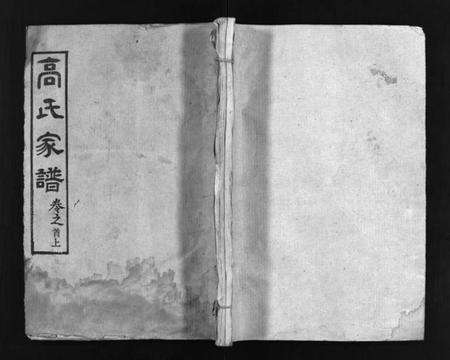 湖北高氏族谱-高氏家谱 [10卷,首2卷](别名：Gao Shi Jiapu).pdf电子版预览图1