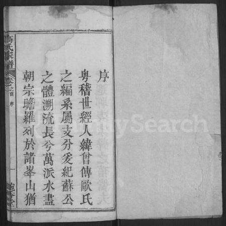 湖北高氏族谱-高氏家谱 [12卷,首末各1卷](别名：高氏家乘).pdf电子版预览图1