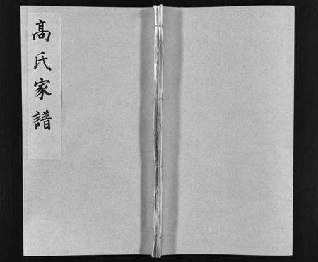 湖北高氏族谱-高氏家谱 [32卷](别名：高氏宗谱、Gao Shi Jia Pu).pdf电子版预览图1