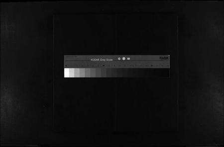 浙江杨氏族谱-杨氏宗谱 [不分卷].pdf电子版缩略图