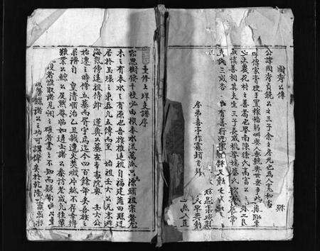 浙江林氏族谱-乐东大芙蓉林氏房谱 [不分卷].pdf电子版预览图1