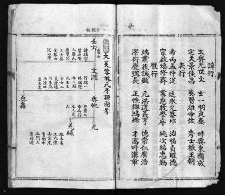 浙江林氏族谱-乐东大芙蓉林氏房谱 [不分卷].pdf电子版预览图4