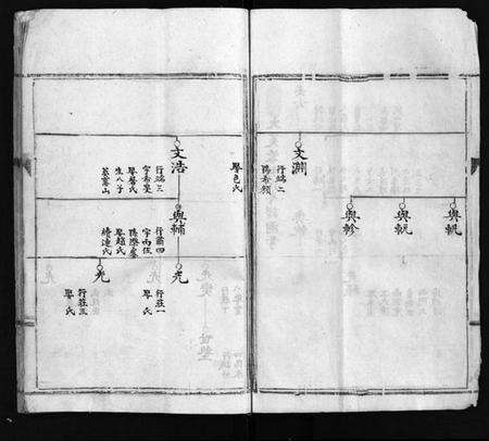 浙江林氏族谱-乐东大芙蓉林氏房谱 [不分卷].pdf电子版预览图5