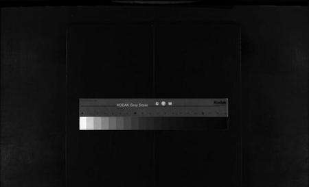 浙江黄氏族谱-乐清市雁荡镇殿东黄氏宗谱总谱 [不分卷].pdf电子版缩略图