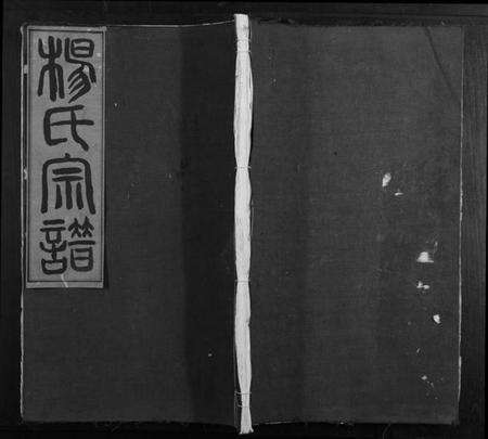 浙江杨氏族谱-桥头杨氏宗谱[存卷3].pdf电子版缩略图