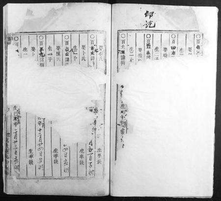 浙江杨氏族谱-桥头杨氏宗谱[存卷3].pdf电子版预览图2