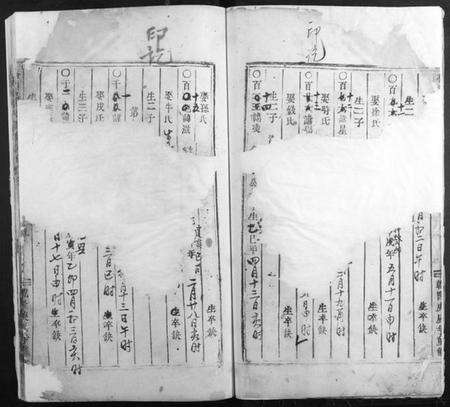 浙江杨氏族谱-桥头杨氏宗谱[存卷3].pdf电子版预览图3