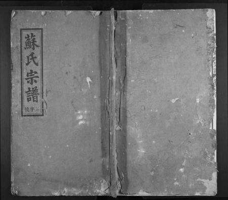 浙江苏氏族谱-武功苏氏宗谱[5卷,首末各1卷].pdf电子版缩略图