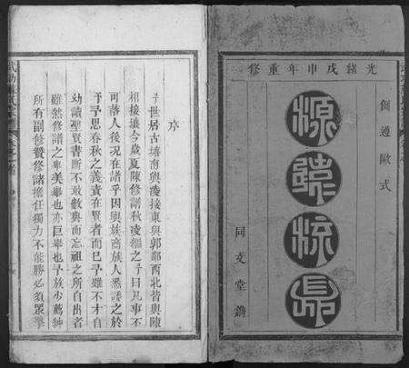 浙江苏氏族谱-武功苏氏宗谱[5卷,首末各1卷].pdf电子版预览图1