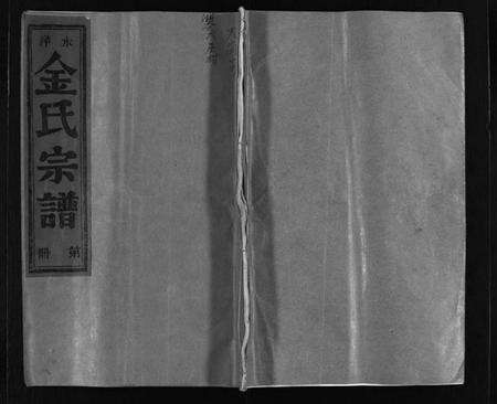 浙江金氏族谱-水洋金氏宗谱 [不分卷].pdf电子版预览图1