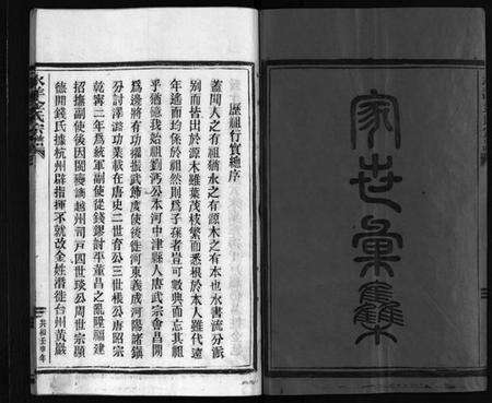 浙江金氏族谱-水洋金氏宗谱 [不分卷].pdf电子版预览图3