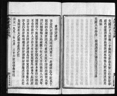 浙江金氏族谱-水洋金氏宗谱 [不分卷].pdf电子版预览图5