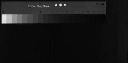 湖北郭氏族谱-郭氏六修宗谱总录 [18卷, 总录2卷](别名：郭氏六修宗谱总录、Guo Shi Liu Xiu Zong Pu Zong Lu、郭氏族谱).pdf电子版缩略图