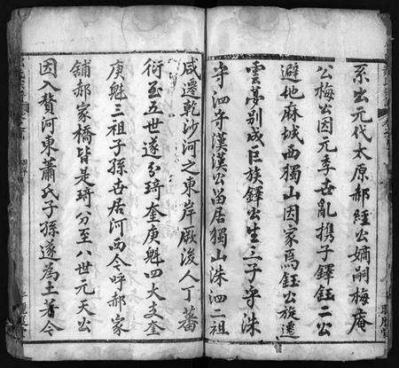 湖北郝氏族谱-郝氏宗谱 [10卷,首2卷](别名：Hao shi zong pu).pdf电子版预览图4