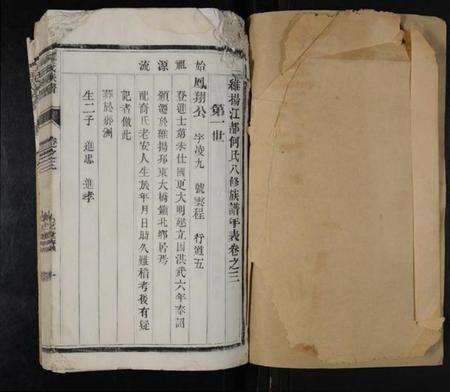 江苏何氏族谱-何氏族谱 [6卷](维扬江都何氏八修族谱).pdf电子版预览图1