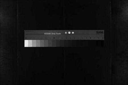 浙江金氏族谱-浦阳金氏宗谱 [11卷].pdf电子版