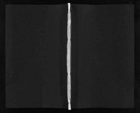 浙江金氏族谱-浦阳金氏宗谱 [11卷].pdf电子版预览图1