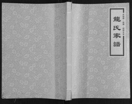 湖南龙氏族谱-龙氏家谱[上下卷].pdf电子版缩略图