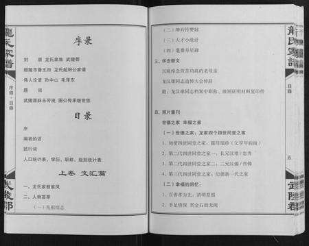 湖南龙氏族谱-龙氏家谱[上下卷].pdf电子版预览图2