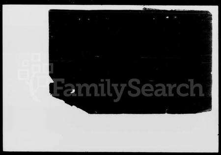 湖南罗氏族谱-罗氏族谱.pdf电子版预览图2