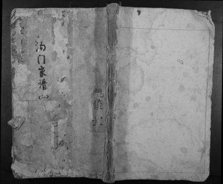 浙江汤氏族谱-汤氏宗谱.pdf电子版缩略图