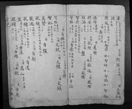 浙江汤氏族谱-汤氏宗谱.pdf电子版预览图4