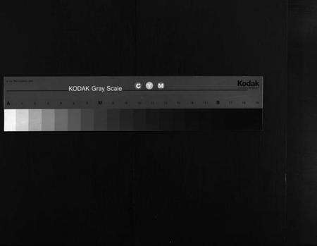 湖北胡氏族谱-胡氏宗谱 [10卷,首1卷](别名：黄冈县胡氏宗谱、Hu Shi Zong Pu).pdf电子版缩略图