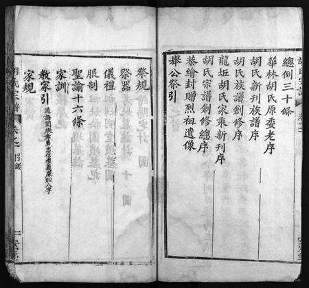 湖北胡氏族谱-胡氏宗谱 [10卷,首1卷](别名：黄冈县胡氏宗谱、Hu Shi Zong Pu).pdf电子版预览图3