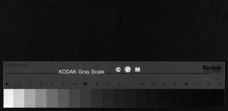 湖北胡氏族谱-胡氏宗谱 [10卷](别名：Hu Shi Zu Pu).pdf电子版缩略图