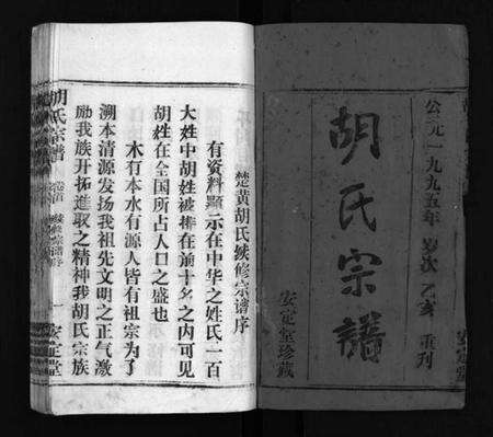 湖北胡氏族谱-胡氏宗谱 [11卷,首1卷](别名：楚黄胡氏宗谱、楚黄胡氏续修宗谱、Hu shi zong pu).pdf电子版预览图2