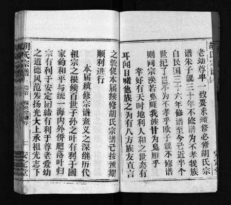 湖北胡氏族谱-胡氏宗谱 [11卷,首1卷](别名：楚黄胡氏宗谱、楚黄胡氏续修宗谱、Hu shi zong pu).pdf电子版预览图3