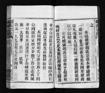 湖北胡氏族谱-胡氏宗谱 [11卷,首1卷](别名：楚黄胡氏宗谱、楚黄胡氏续修宗谱、Hu shi zong pu).pdf电子版预览图5