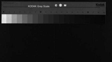 湖北胡氏族谱-胡氏宗谱 [12卷,首2卷](别名：Hu Shi Zong Pu).pdf电子版缩略图