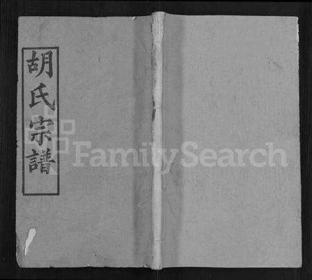 湖北胡氏族谱-胡氏宗谱 [19卷,首1卷](别名：楚黄麻邑长潭胡氏宗谱).pdf电子版缩略图