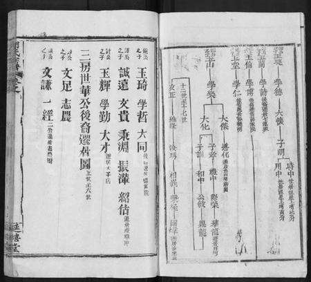 湖北胡氏族谱-胡氏宗谱 [19卷,首1卷](别名：楚黄麻邑长潭胡氏宗谱).pdf电子版预览图4