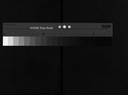 湖北胡氏族谱-胡氏宗谱 [20卷,首4卷](别名：胡氏续修宗谱、楚黄胡氏宗谱、Hu Shi Zong Pu).pdf电子版缩略图