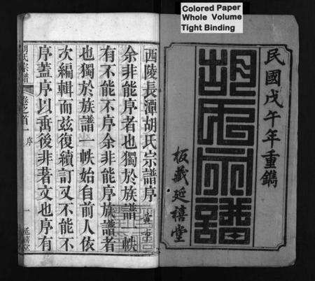 湖北胡氏族谱-胡氏宗谱 [20卷,首4卷](别名：Hu Shi Zong Pu).pdf电子版预览图2