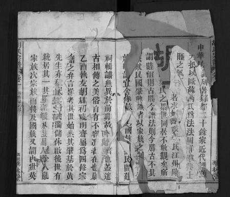 湖北胡氏族谱-胡氏宗谱 [28卷](别名：Hu Shi Zong Pu).pdf电子版预览图2