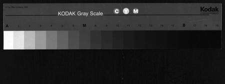 湖北胡氏族谱-胡氏族谱 [14卷](别名：胡氏族谱、Hu Shi Zu Pu、胡氏族谱).pdf电子版缩略图