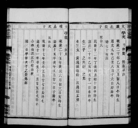 江苏许氏族谱-润州开沙许氏宗谱 [10卷](别名：许氏宗谱).pdf电子版缩略图