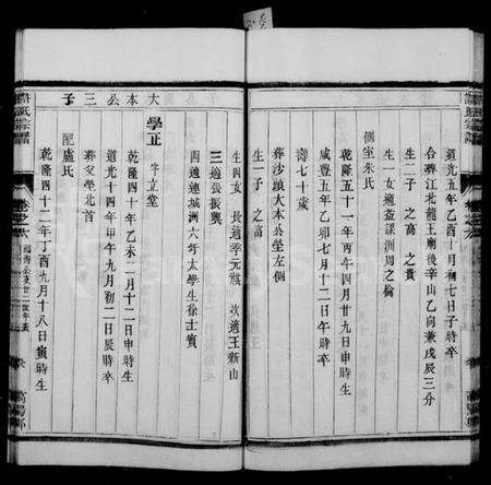 江苏许氏族谱-润州开沙许氏宗谱 [10卷](别名：许氏宗谱).pdf电子版预览图3