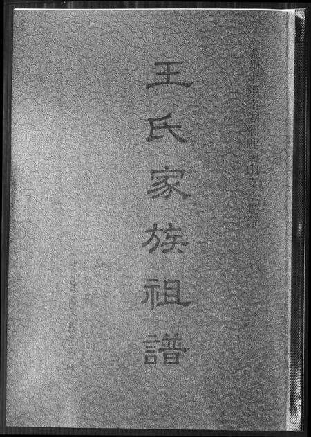 浙江王氏族谱-王氏家族祖谱.pdf电子版缩略图