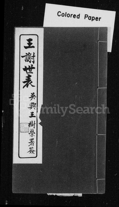 浙江多姓氏族谱-王谢世表.pdf电子版缩略图