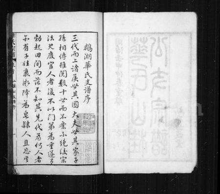 江苏华氏族谱-华氏山桂公支谱 [14卷](别名：华氏宗谱、鹅湖华氏支谱).pdf电子版预览图2