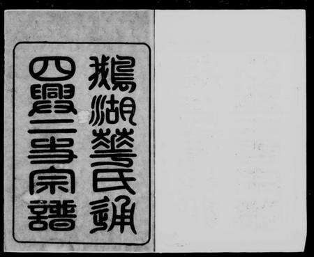 江苏华氏族谱-鹅湖华氏通四兴二支宗谱 [30卷,首1卷](别名：华氏宗谱).pdf电子版缩略图