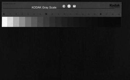 湖北华氏族谱-华氏宗谱 [4卷](别名：Hua Shi Zong Pu、华氏宗谱).pdf电子版缩略图